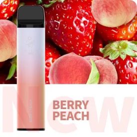 ELF BAR 3600 - Berry Peach 5% Nicotine Disposable Vape - Rechargeable