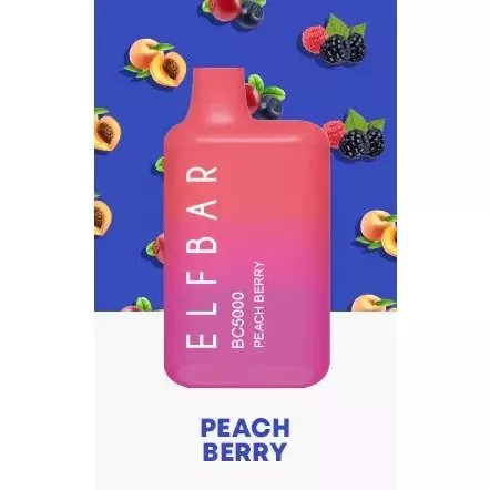 how much is elf bar vape Elf Bar BC5000 Disposable Review