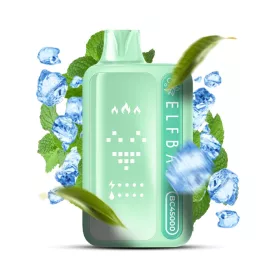 ELF BAR BC45000 Double Mint 5% disposable vape