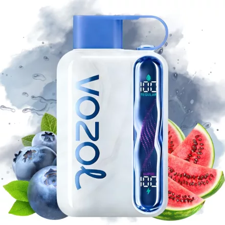 VOZOL STAR 40000 - Blueberry Watermelon 5% Nicotine Disposable Vape