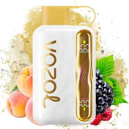 VOZOL STAR 40000 - White Peach Raspberry 5% Nicotine Disposable Vape