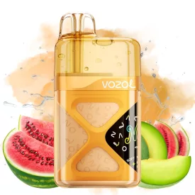 Vozol Neon 60000 Watermelon Melon 5% disposable vape