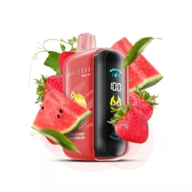ELF BAR RAYA D3 25000 Strawberry Watermelon 5% disposable vape