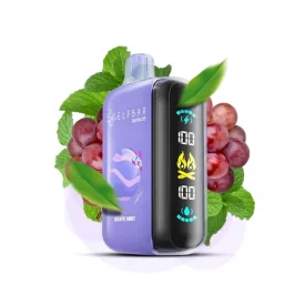 ELF BAR RAYA D3 25000 Grape Mint 5% disposable vape